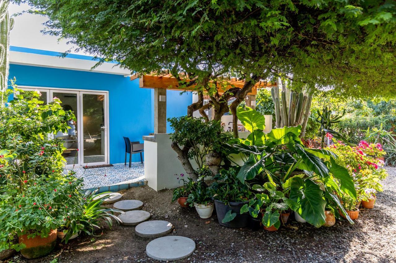 Naima Luxury Home, Cottage & Apartment Rentals Paradera Exterior photo